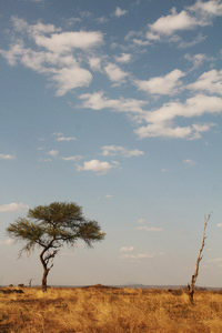 SkySafari：翱翔馳騁，在非洲大草原上（中）