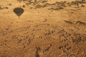 SkySafari：翱翔馳騁，在非洲大草原上（上）