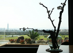 且從,「小確幸」談起