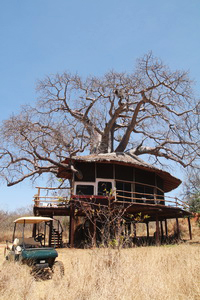 SkySafari：居住，在非洲大草原上（上）