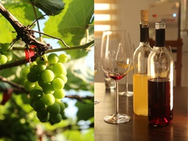 2014.10.10 彰化二林 深耕園