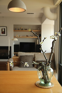 說說,我的「恐色症」