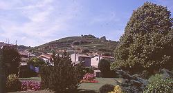 法國隆河酒鄉行(上) (2001.11.20)