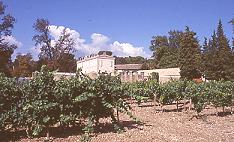 法國隆河酒鄉行(下) (2001.11.23)