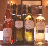 西班牙Rioja酒鄉之旅 (2002.01.11)