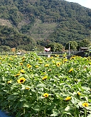 冬日苗栗之旅 (2003.01.21)