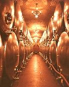 北義大利酒鄉之旅(上)(2003.07.08)