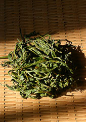 紅茶•台灣（上）