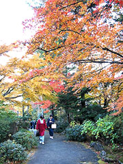 箱根之秋（上）