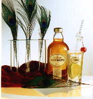 為自己調一杯歡樂雞尾酒(下)(1999.12.09)